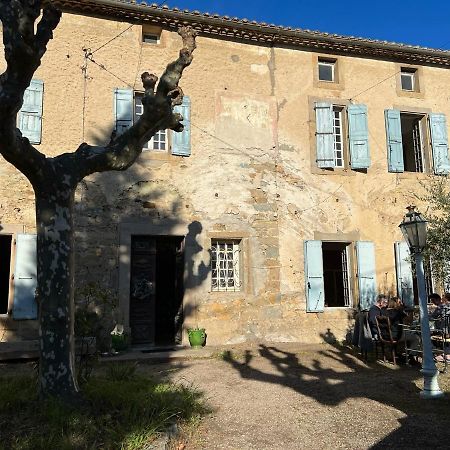 Bed and Breakfast Les 3 Platanes Conilhac-Corbières Exterior foto